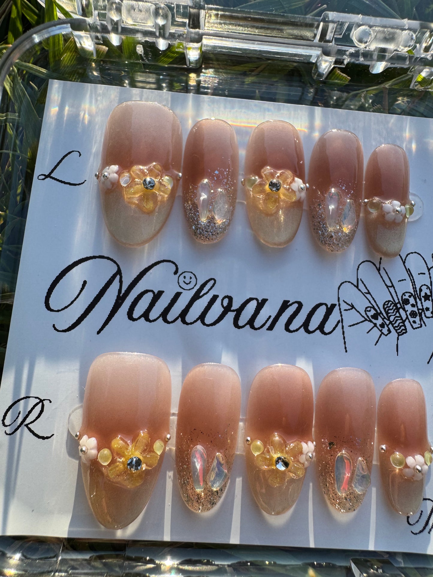 Peach with Yellow Daisy Flower